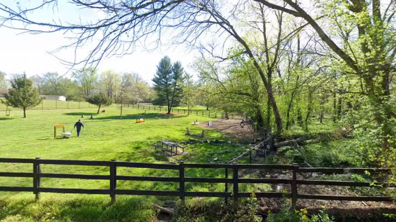 Bark Park - Frankfort, KY