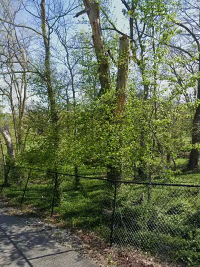 Bark Park - Frankfort, KY