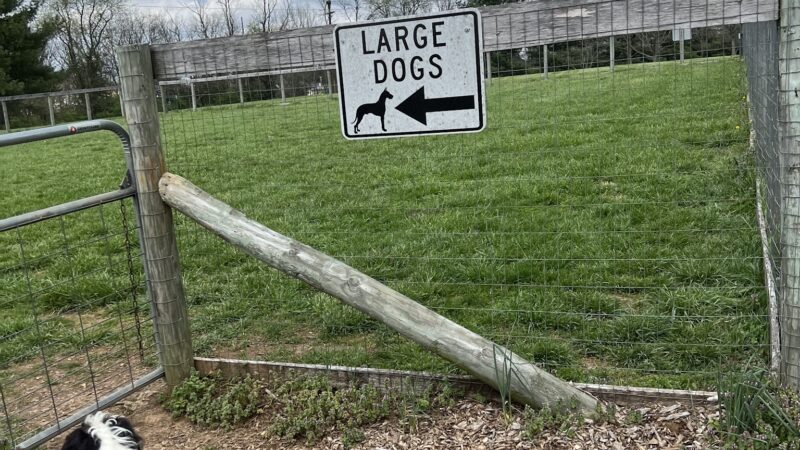 Lakeview dog park - Frankfort, KY