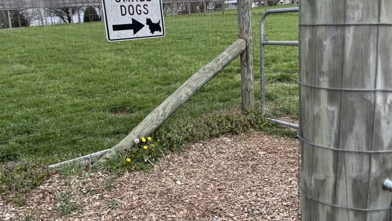 Lakeview dog park - Frankfort, KY