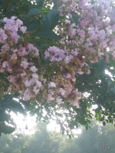 Franklin City Park - Franklin, GA