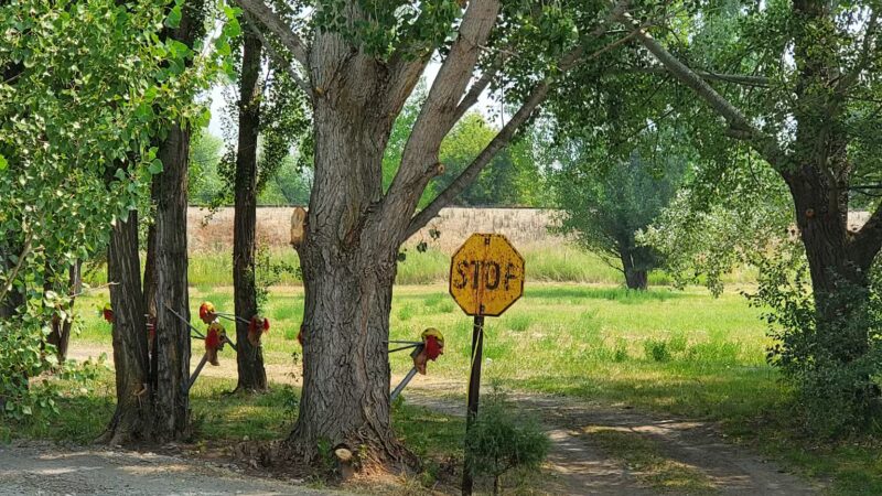 Franklin City Park - Franklin, ID