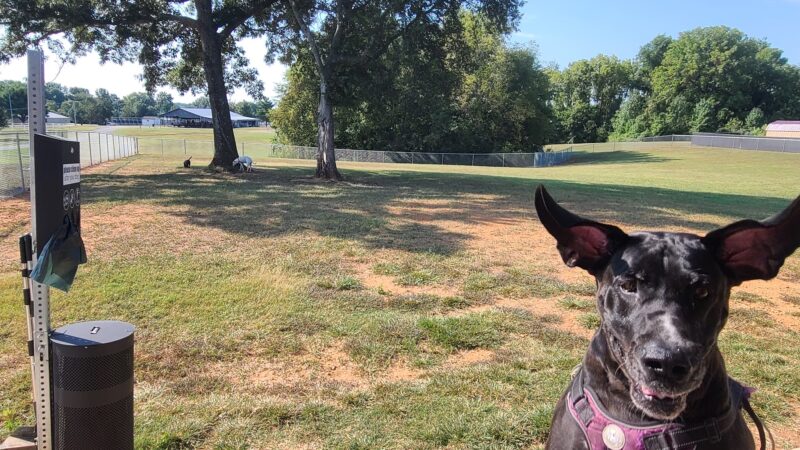 Franklin Simpson Dog Park - Franklin, KY