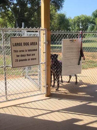 Franklin Simpson Dog Park - Franklin, KY