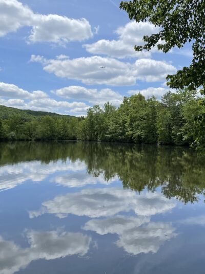 G. Thomas Donch Nature Preserve (formerly known as Franklin Lakes Nature Preserve) - Franklin Lakes, NJ