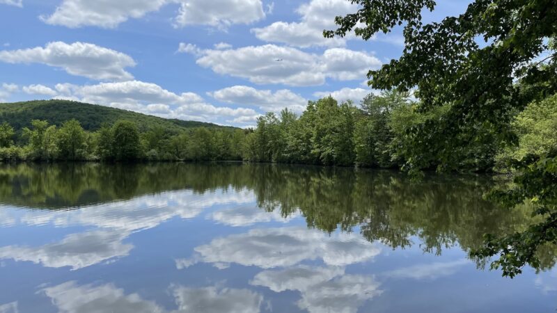 G. Thomas Donch Nature Preserve (formerly known as Franklin Lakes Nature Preserve) - Franklin Lakes, NJ