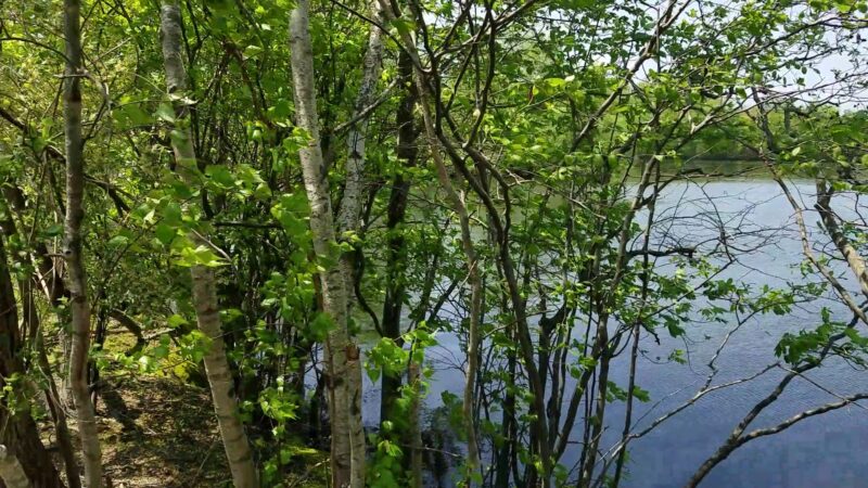 G. Thomas Donch Nature Preserve (formerly known as Franklin Lakes Nature Preserve) - Franklin Lakes, NJ