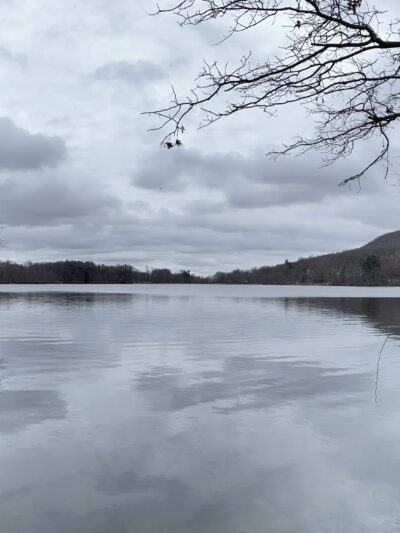 G. Thomas Donch Nature Preserve (formerly known as Franklin Lakes Nature Preserve) - Franklin Lakes, NJ