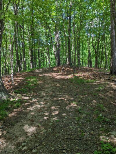 Parsons Pond Park - Franklin Lakes, NJ