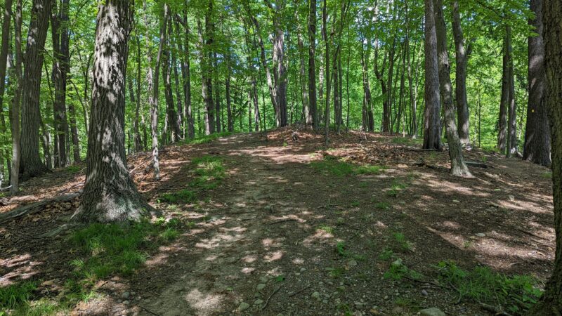 Parsons Pond Park - Franklin Lakes, NJ