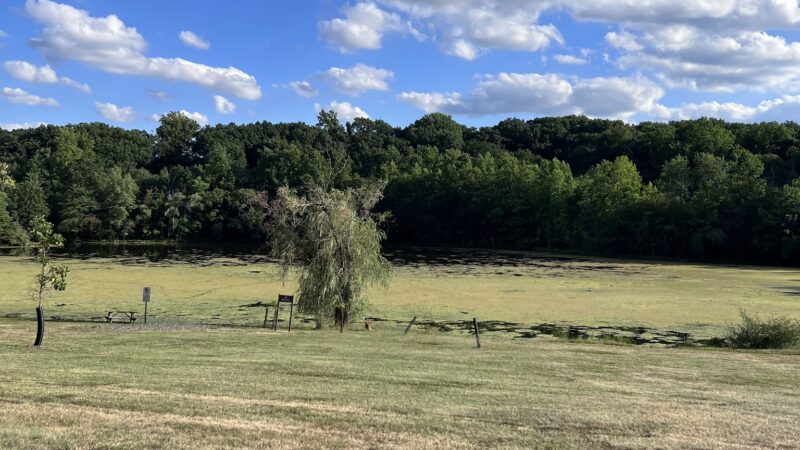 Parsons Pond Park - Franklin Lakes, NJ