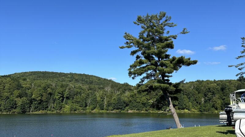 East Sidney Lake Park - Franklin, NY