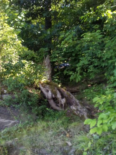 East Sidney Dam Recreation Area - Franklin, NY