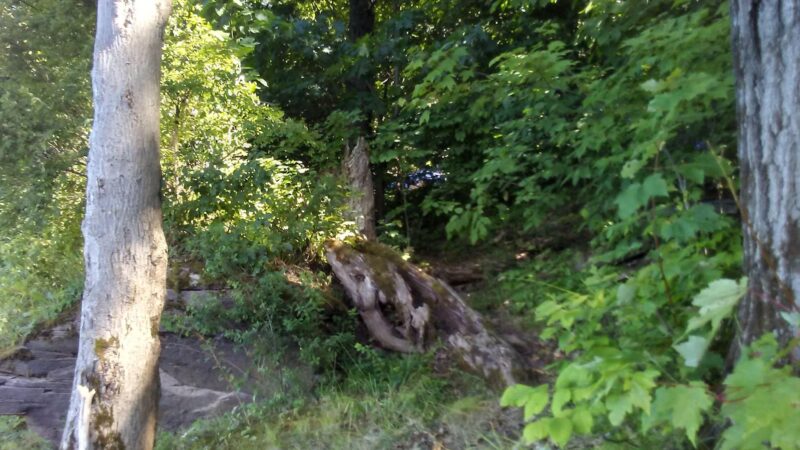 East Sidney Dam Recreation Area - Franklin, NY