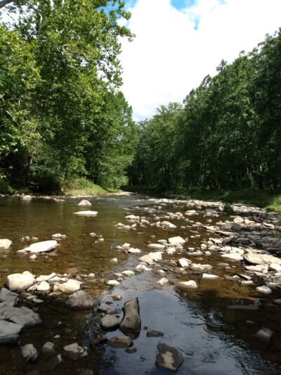 Fisherman's Cove Road Sandy Creek Trail Trailhead - Franklin, PA