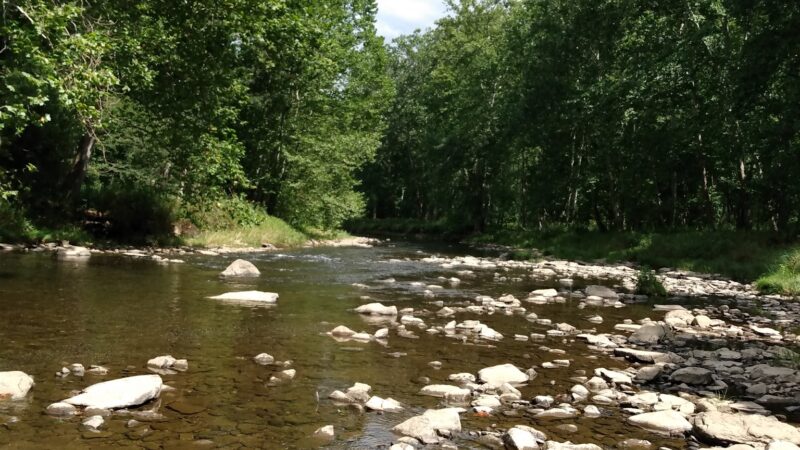 Fisherman's Cove Road Sandy Creek Trail Trailhead - Franklin, PA