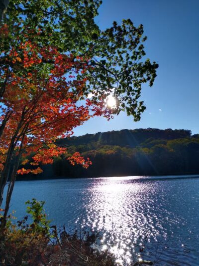 Two Mile Run County Park - Franklin, PA