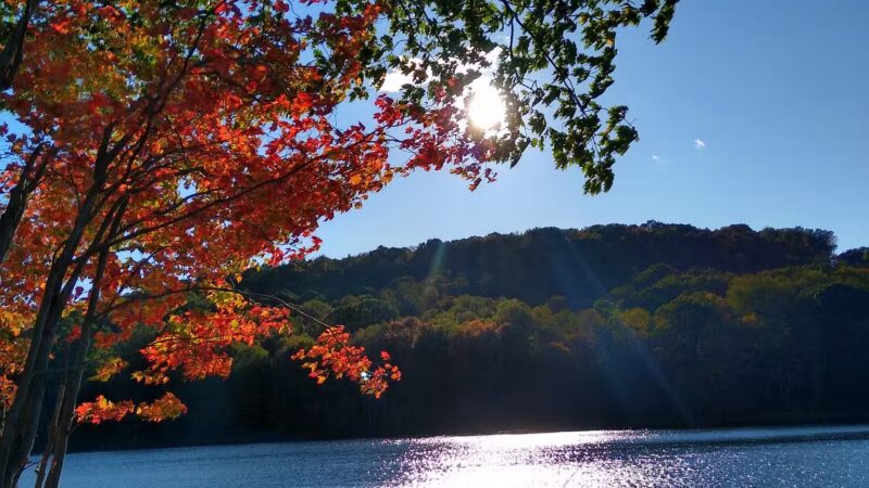 Two Mile Run County Park - Franklin, PA