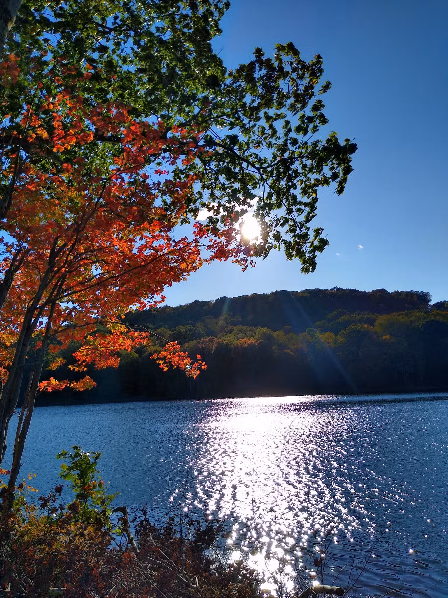 Two Mile Run County Park - Franklin, PA