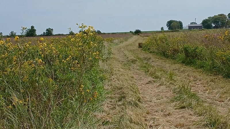 Fredericksburg Wildlife Area - Fredericksburg, IA