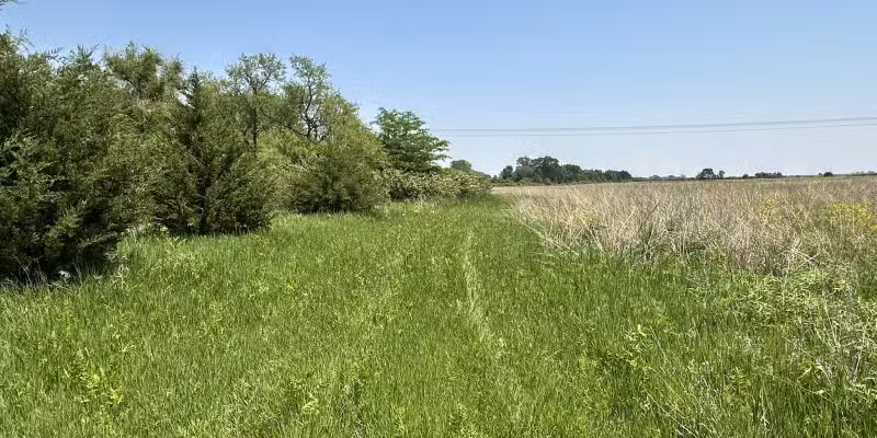 Fredericksburg Wildlife Area - Fredericksburg, IA