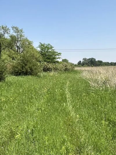 Fredericksburg Wildlife Area - Fredericksburg, IA