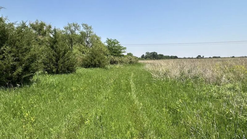 Fredericksburg Wildlife Area - Fredericksburg, IA
