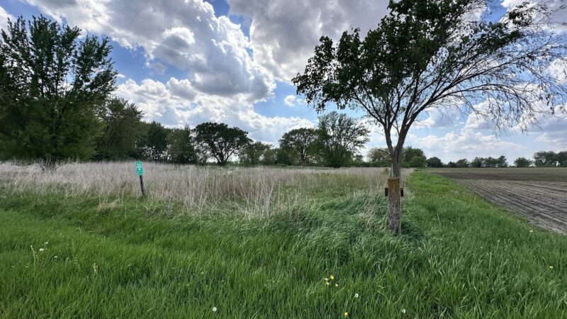 Schroeder Preserve - Fredericksburg, IA