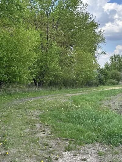 Schroeder Preserve - Fredericksburg, IA