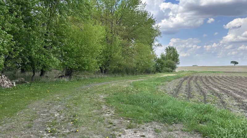 Schroeder Preserve - Fredericksburg, IA