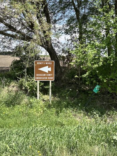 Wendt’s Woods - Fredericksburg, IA