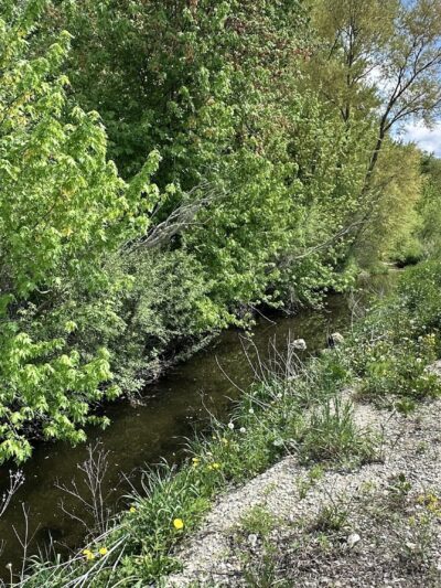 Wendt’s Woods - Fredericksburg, IA