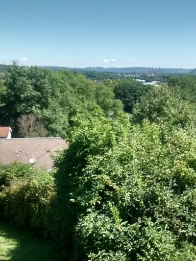 Bark N Park - Freeburg, PA