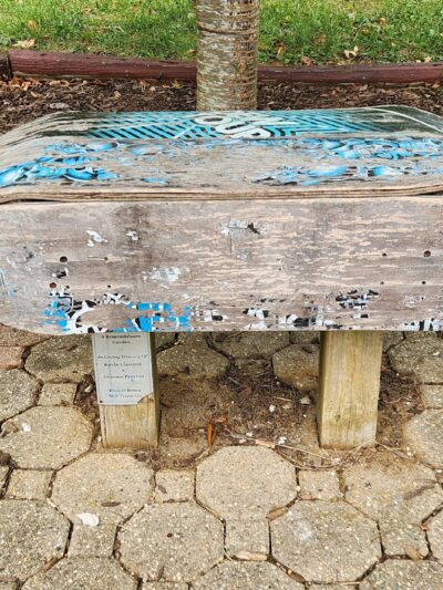 Wynnefield Park - Freehold, NJ