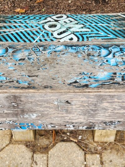 Wynnefield Park - Freehold, NJ