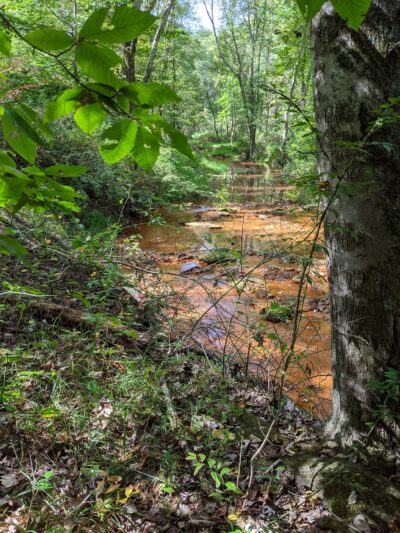 Manasquan River Linear Park - Freehold Township, NJ