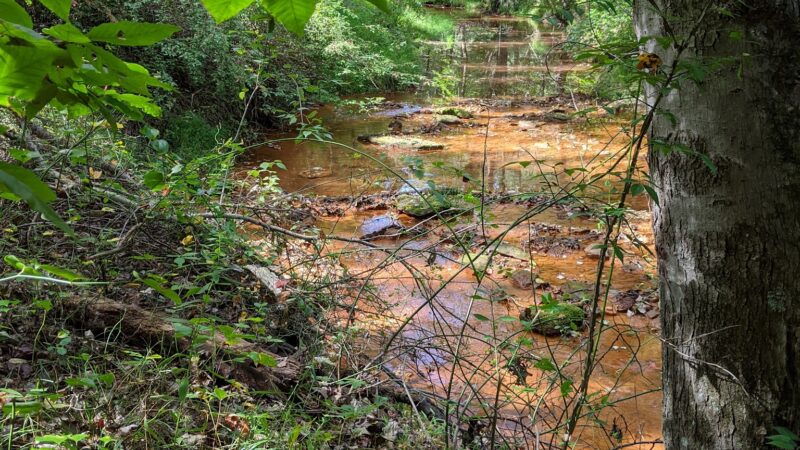 Manasquan River Linear Park - Freehold Township, NJ
