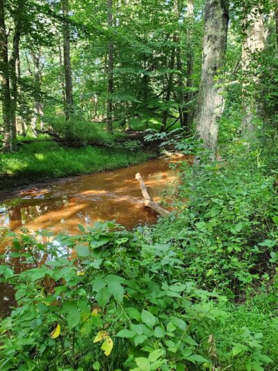 Manasquan River Linear Park - Freehold Township, NJ