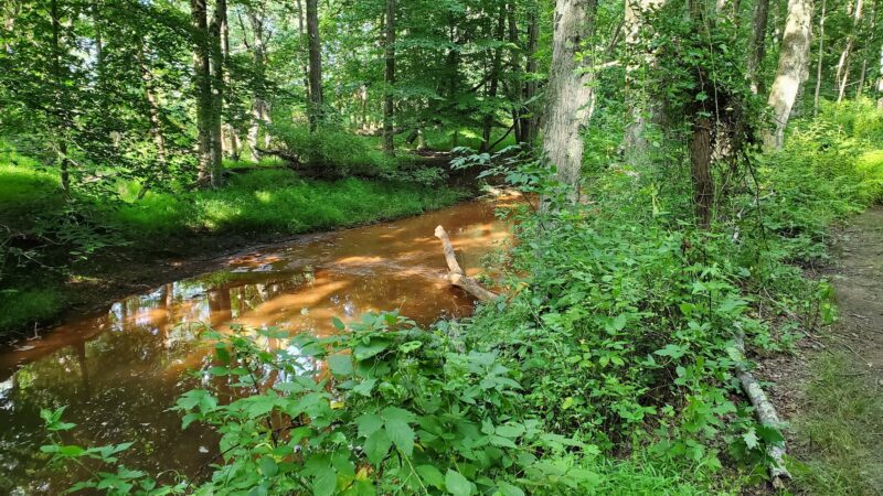 Manasquan River Linear Park - Freehold Township, NJ