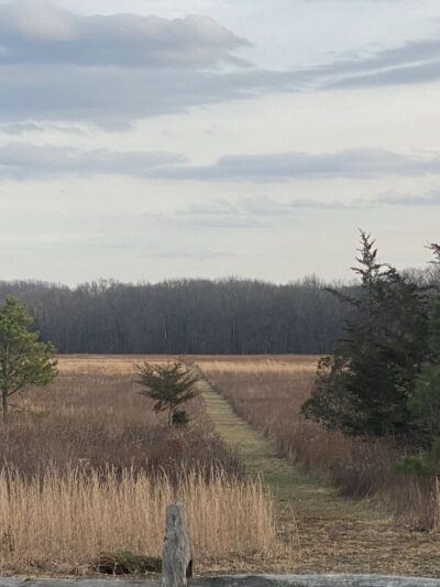 Manasquan River Linear Park - Freehold Township, NJ