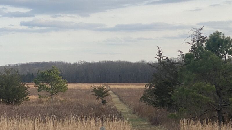 Manasquan River Linear Park - Freehold Township, NJ