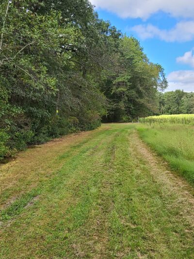 Turkey Swamp Park - Freehold Township, NJ