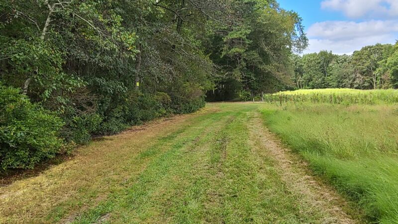 Turkey Swamp Park - Freehold Township, NJ