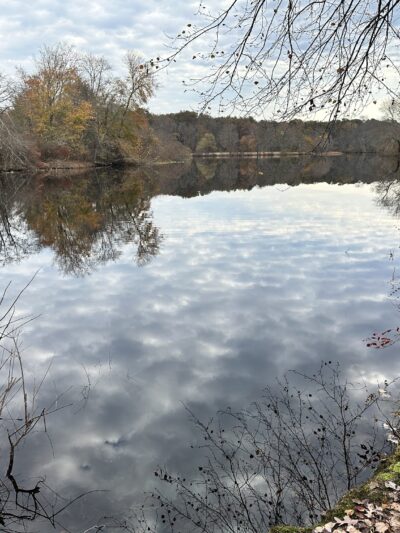 Turkey Swamp Park - Freehold Township, NJ
