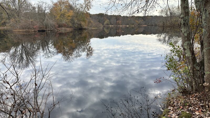 Turkey Swamp Park - Freehold Township, NJ