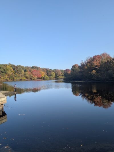 Turkey Swamp Park - Freehold Township, NJ