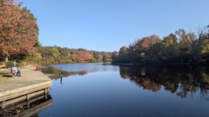 Turkey Swamp Park - Freehold Township, NJ