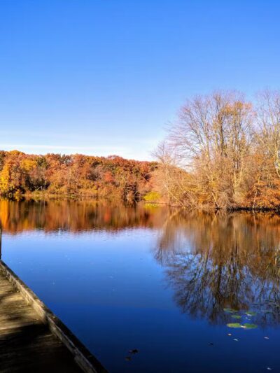 Turkey Swamp Park - Freehold Township, NJ