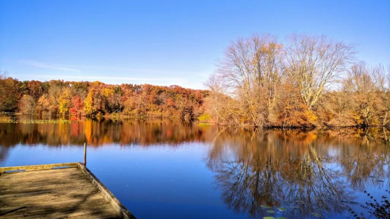 Turkey Swamp Park - Freehold Township, NJ
