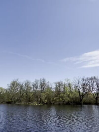 Turkey Swamp Park - Freehold Township, NJ